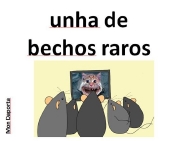 Enredos da rata Luísa. Bechos raros